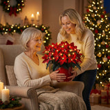 Sjajna rubin božićna zvezda